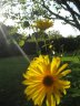IMG_5923.JPG - 